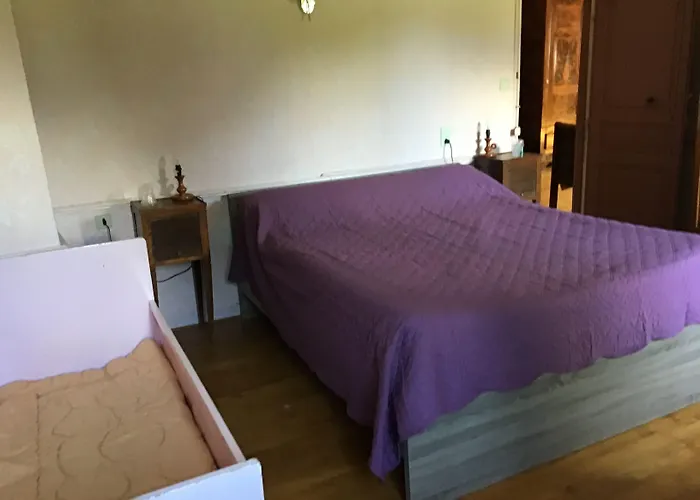 Hotel Maison Laclede